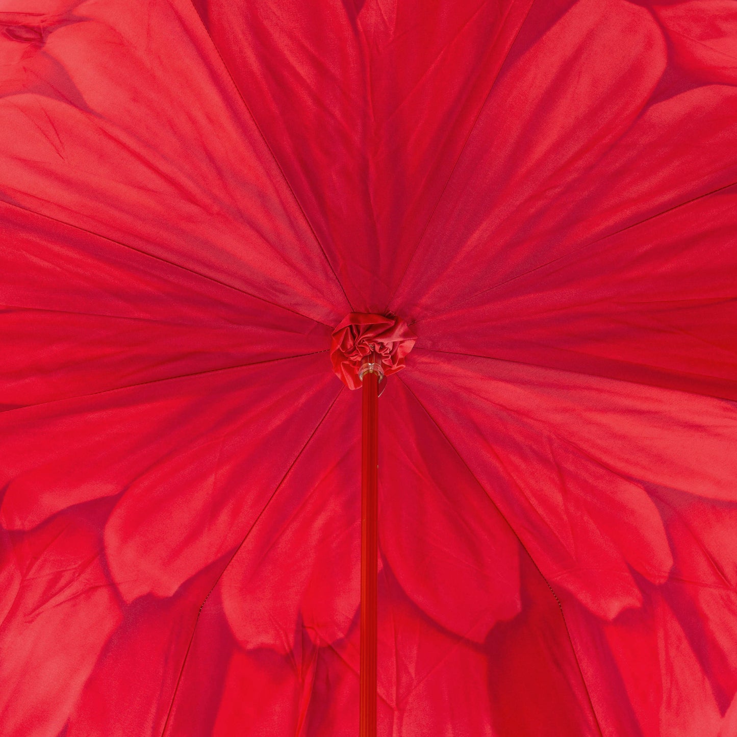 Pasotti Red Dahlia Umbrella | Double Canopy | Italian Handmade | Free Shipping