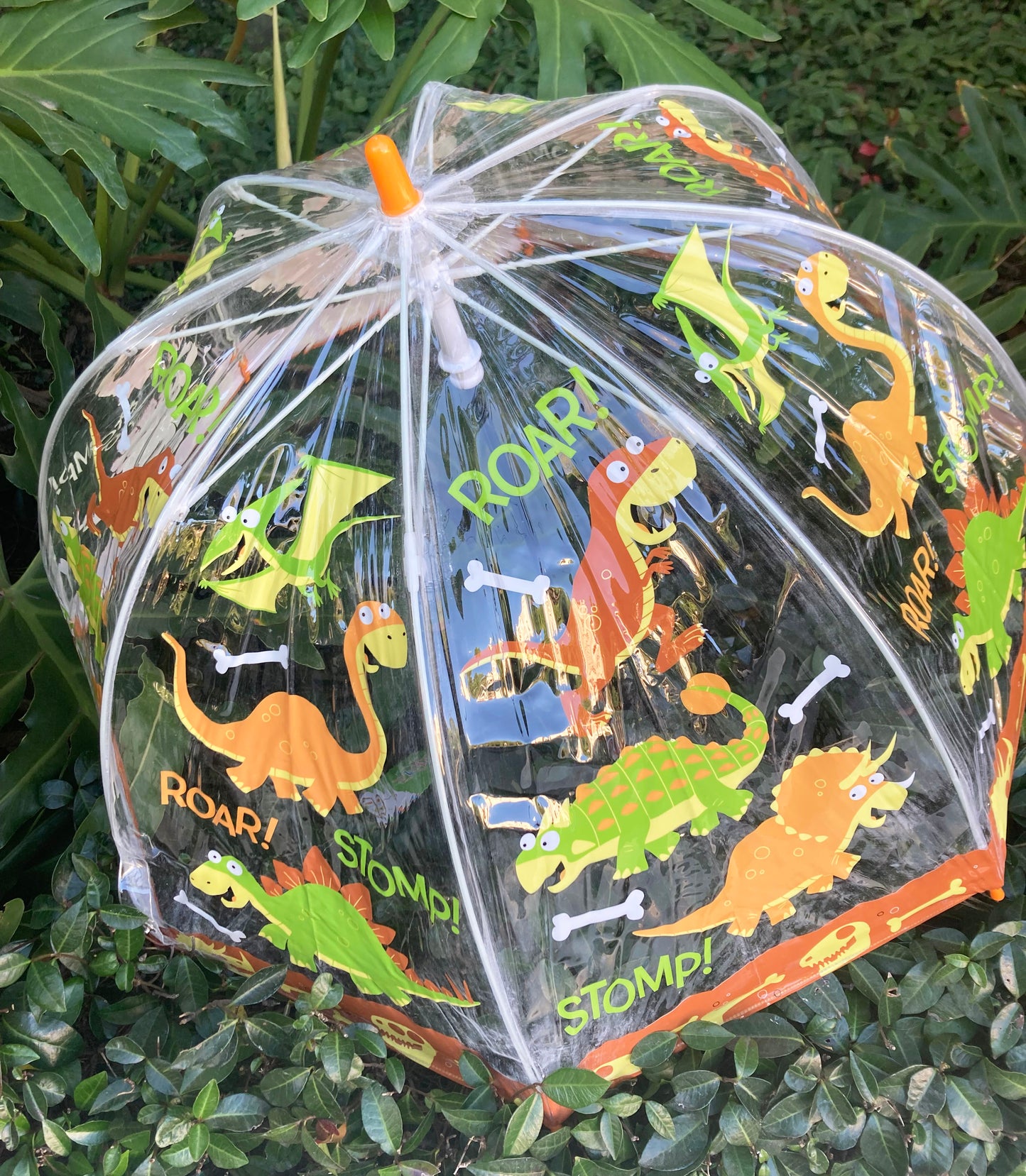 Clear Bubble Dinosaurs Umbrella for Children | Safe Tips | Prehistoric Theme