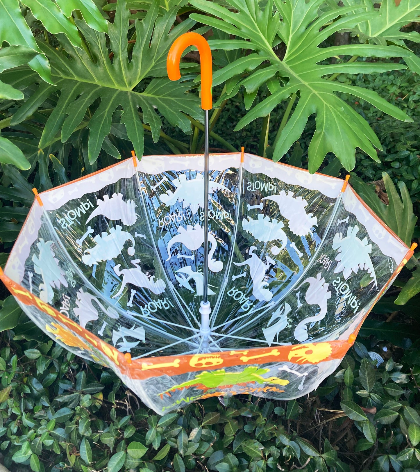 Clear Bubble Dinosaurs Umbrella for Children | Safe Tips | Prehistoric Theme