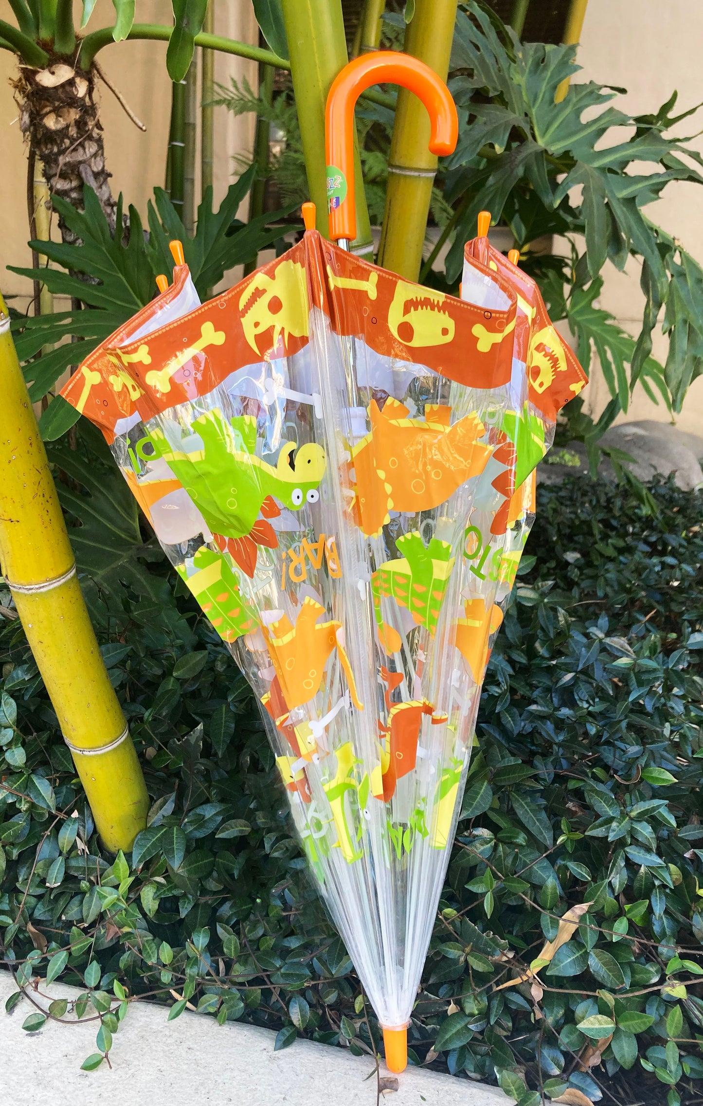 Clear Bubble Dinosaurs Umbrella for Children | Safe Tips | Prehistoric Theme