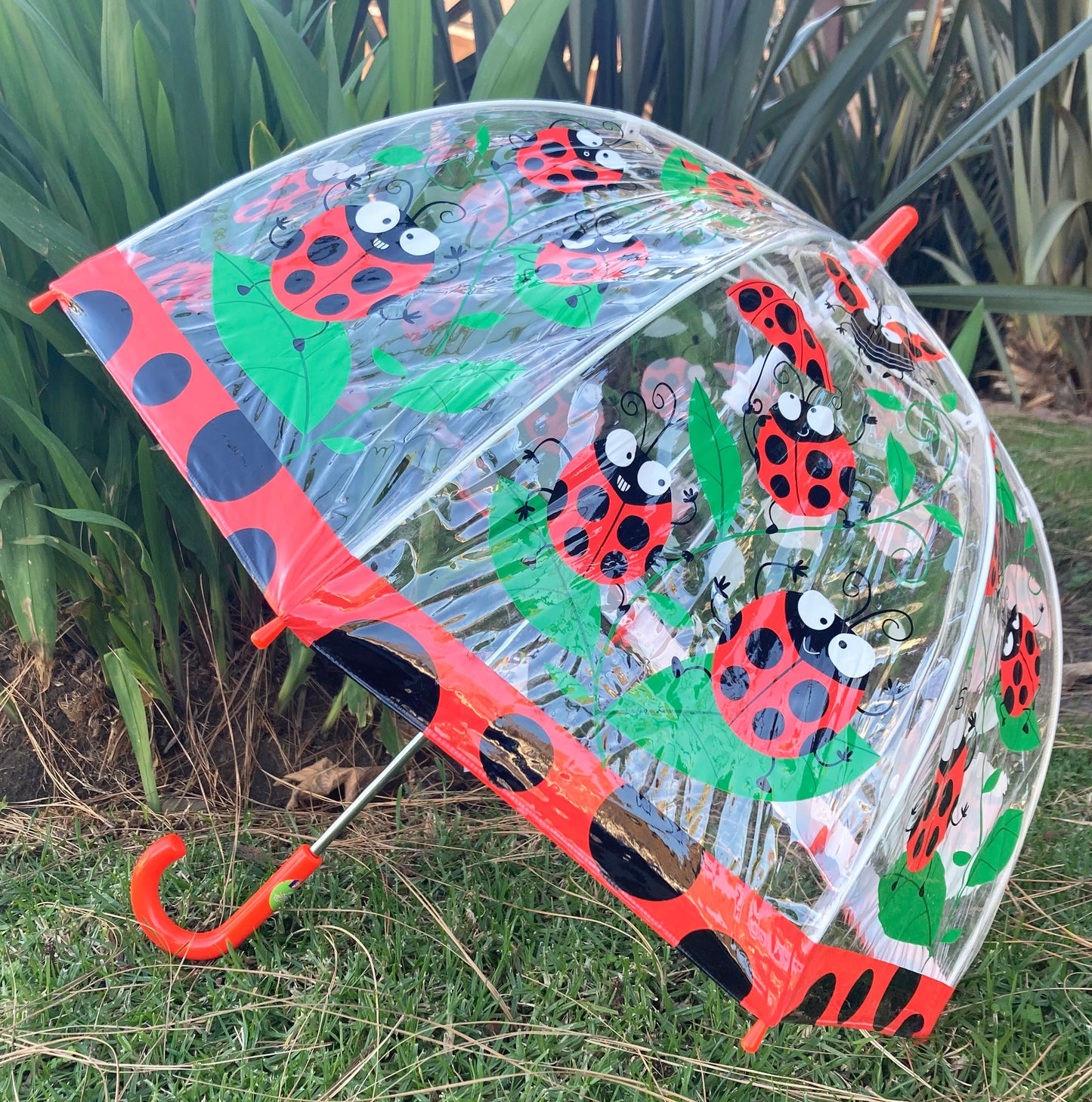 Playful Ladybug Clear Children Umbrella by Bugzz® | Flexible Ribs and Safe Tips | Easy opening and Closing System