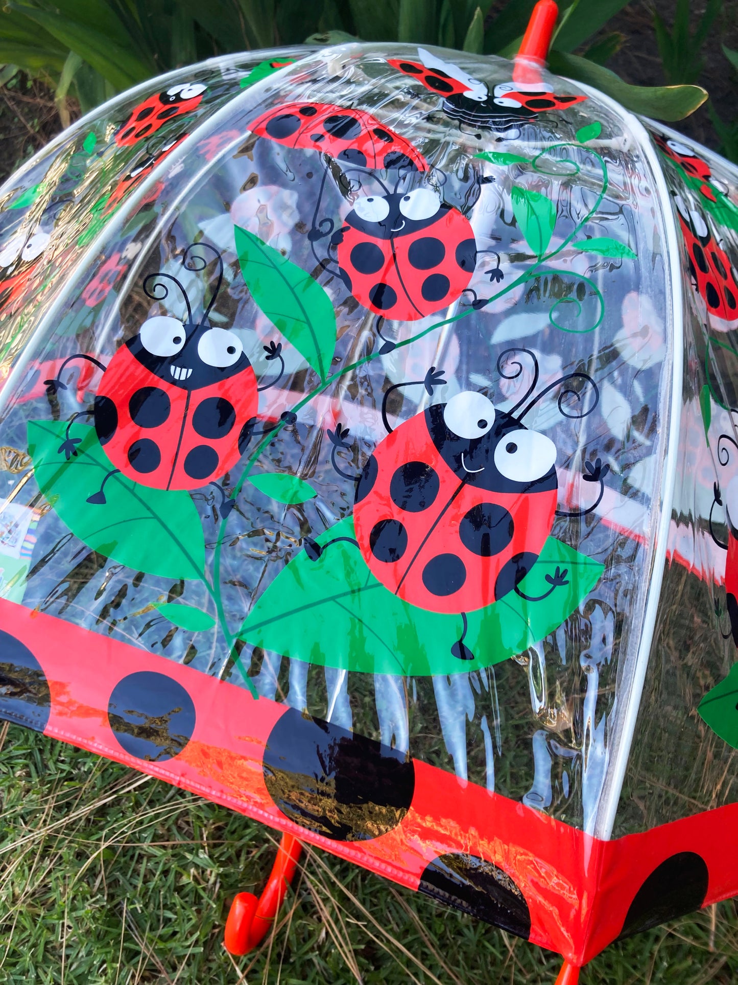 Playful Ladybug Clear Children Umbrella by Bugzz® | Flexible Ribs and Safe Tips | Easy opening and Closing System