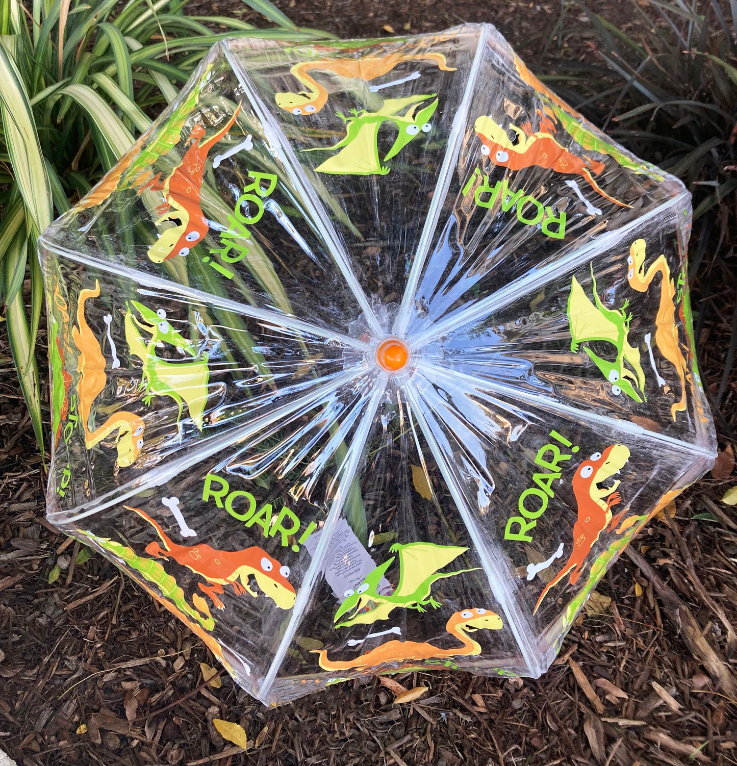 Clear Bubble Dinosaurs Umbrella for Children | Safe Tips | Prehistoric Theme