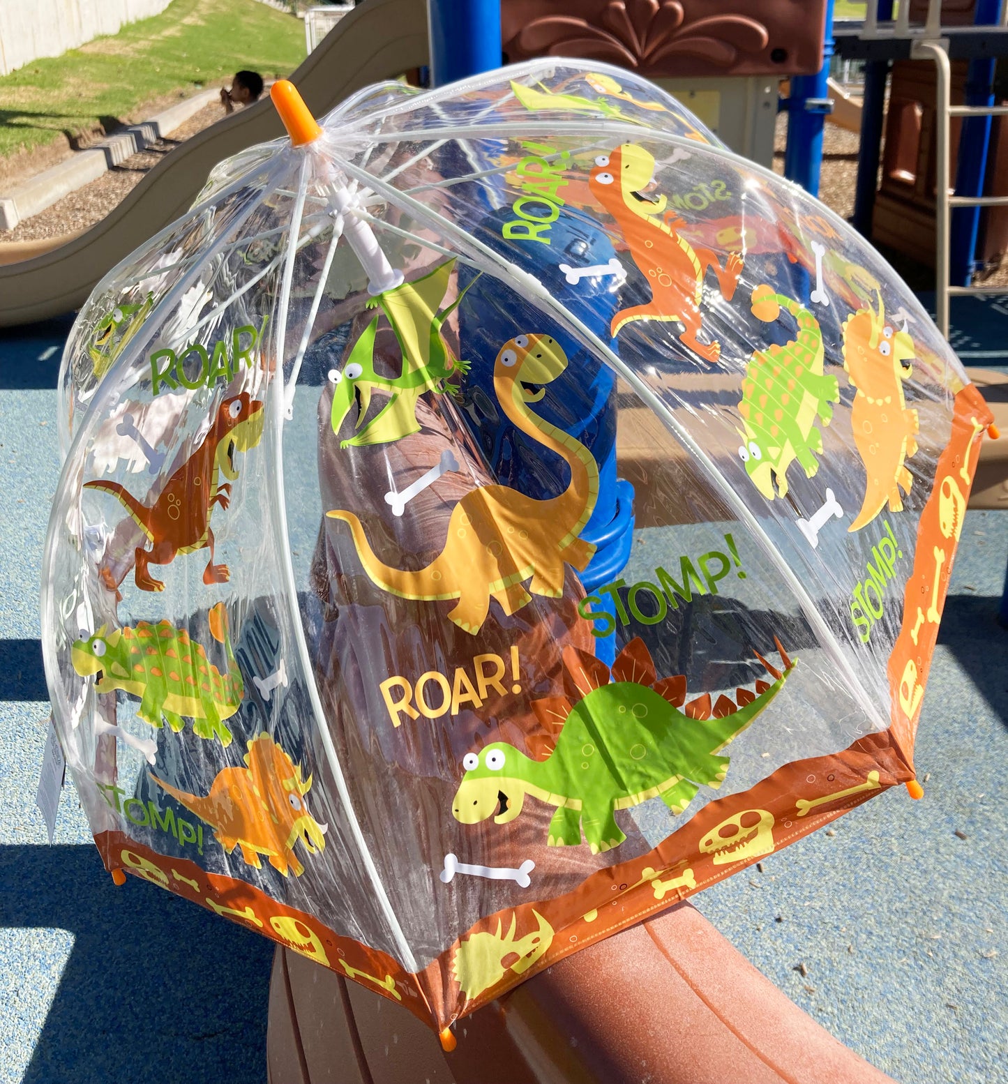 Clear Bubble Dinosaurs Umbrella for Children | Safe Tips | Prehistoric Theme