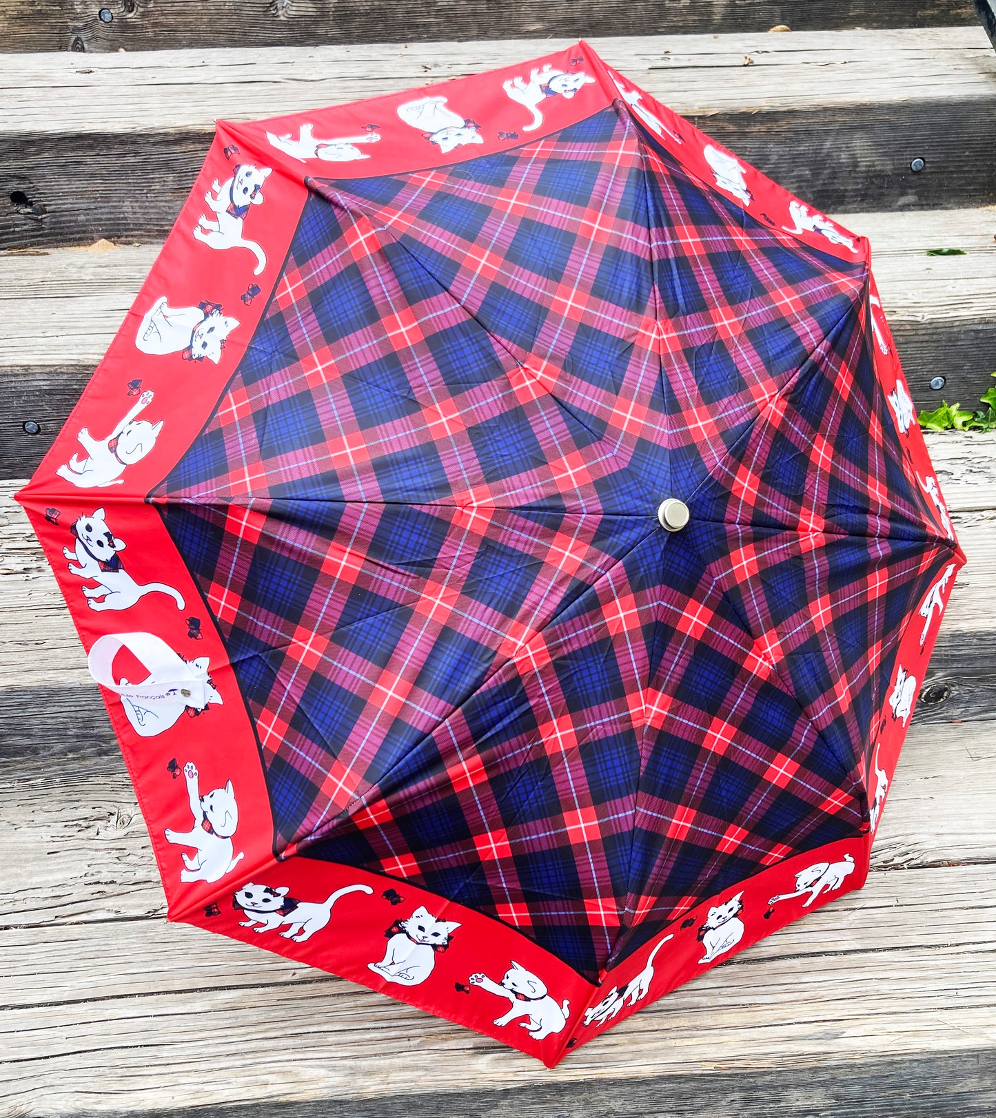 Red Scottish Cats Anti UV Compact Umbrella | Made in France | Free Shipping