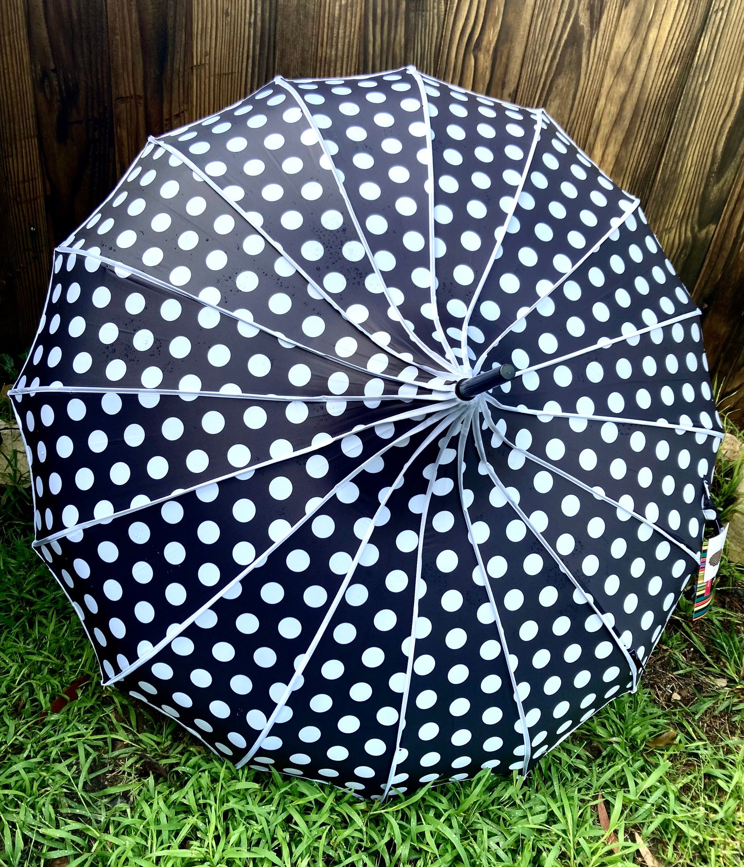 Paraguas Pagoda Lilly Black | Opaco y anti-UV | Lunares Grandes