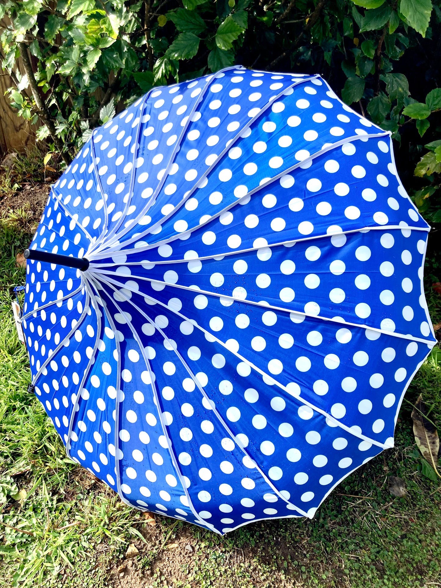 Paraguas opaco Bailey Blue | Estilo pagoda con protección UV | Lunares grandes