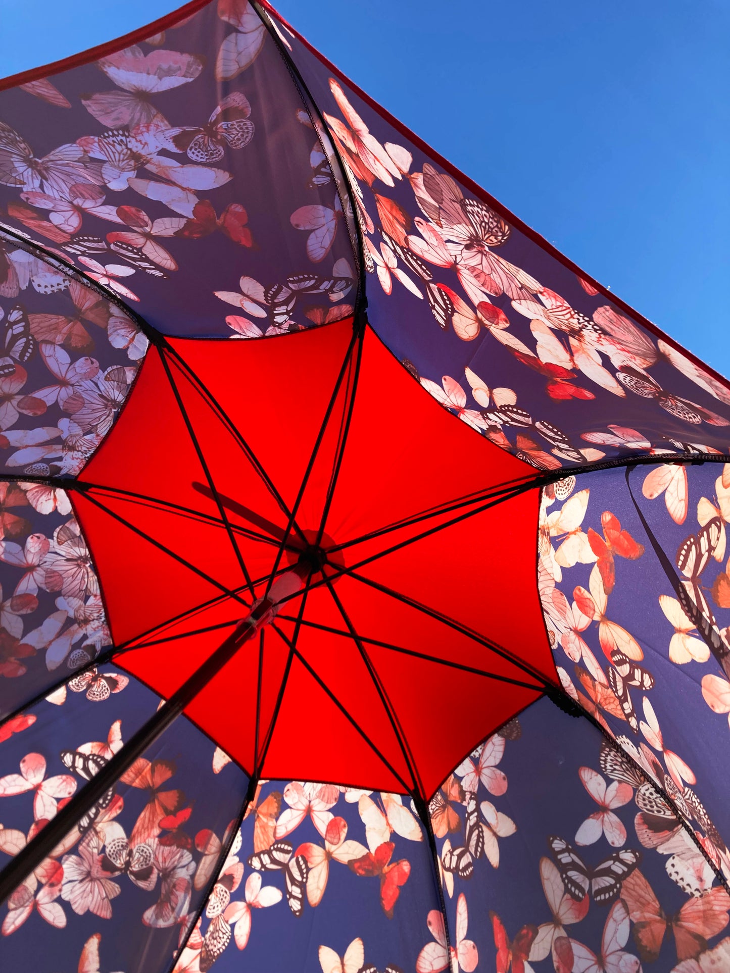 Butterflies French Umbrella by Guy de Jean | "Le Parapluie Francais®" Anti UV | Free Shipping