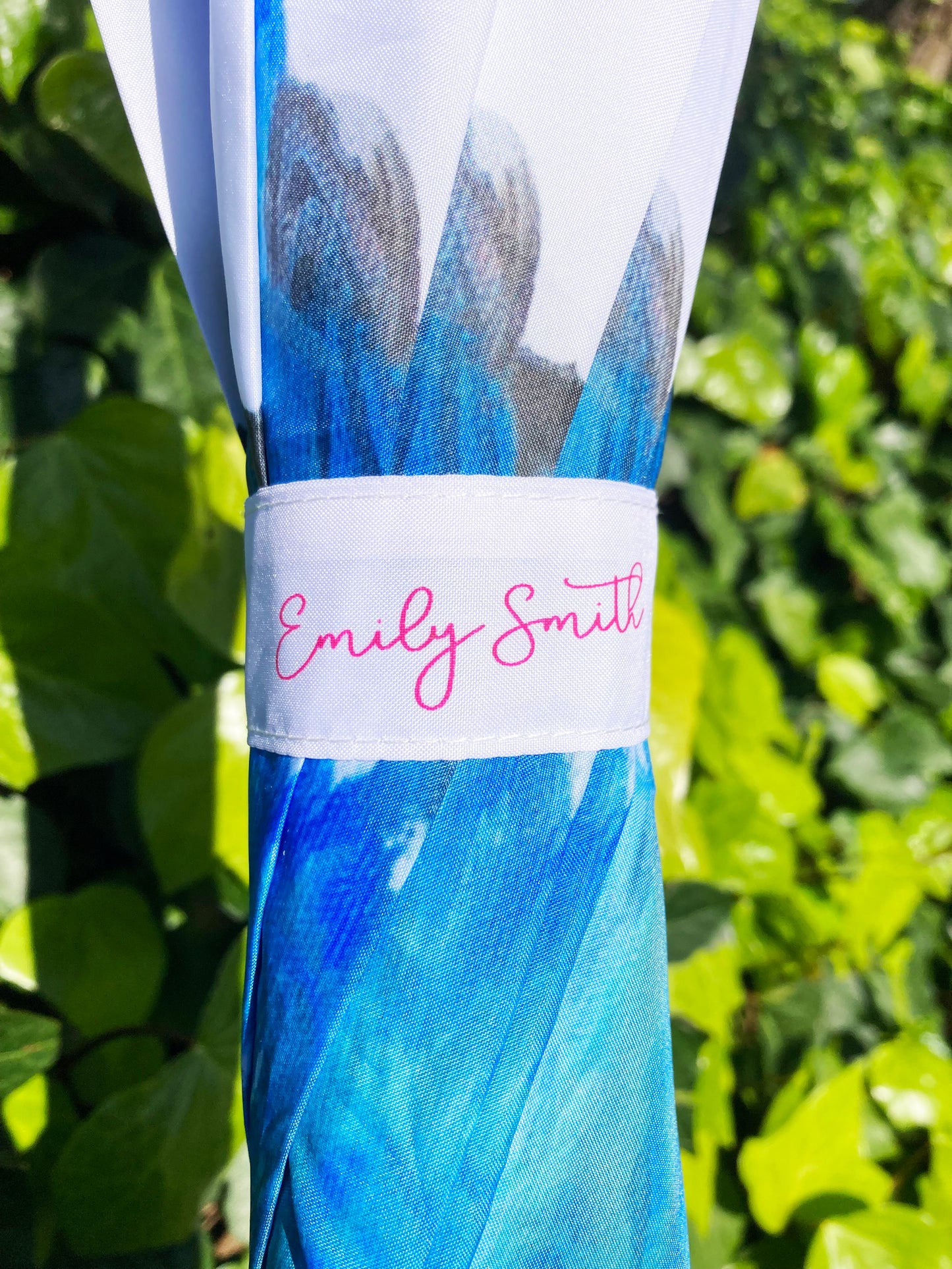 Kingfisher Bird Umbrella | Emily Smith Design