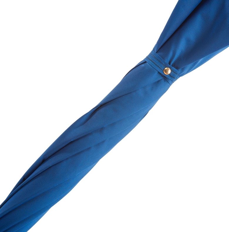 Paraguas azul con mango de león dorado | Colección italiana Pasotti | Envío gratuito