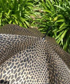 Paraguas con estampado de serpiente dorado metalizado | Cúpula profunda | Protección UV 100 % sombra | Resistente al agua