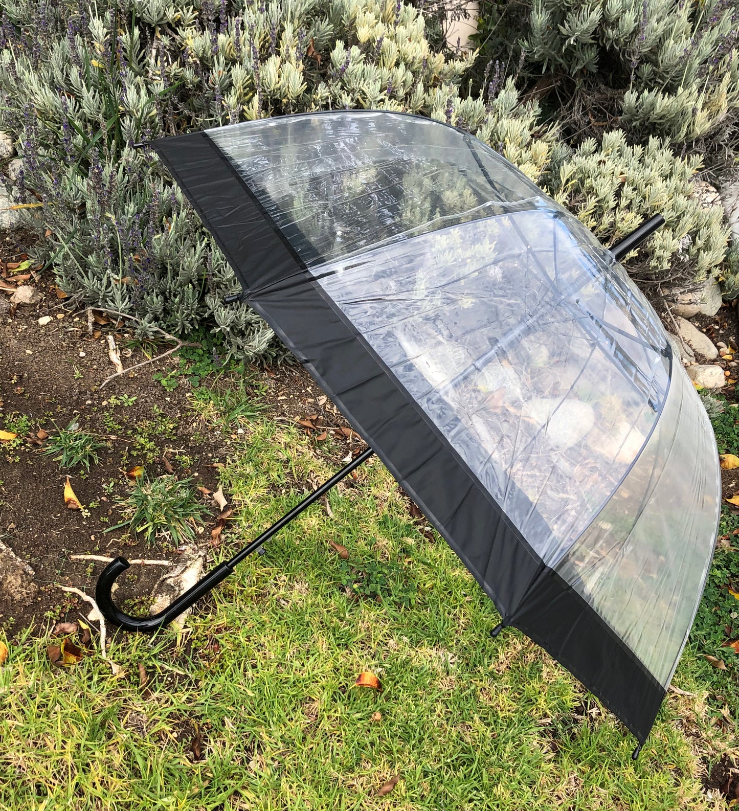 Paraguas de burbujas con ribete negro | PVC transparente