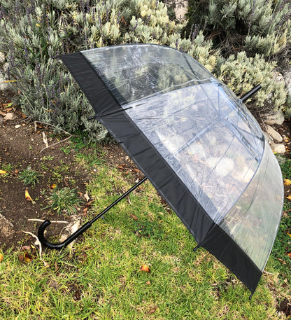 Paraguas de burbujas con ribete negro | PVC transparente