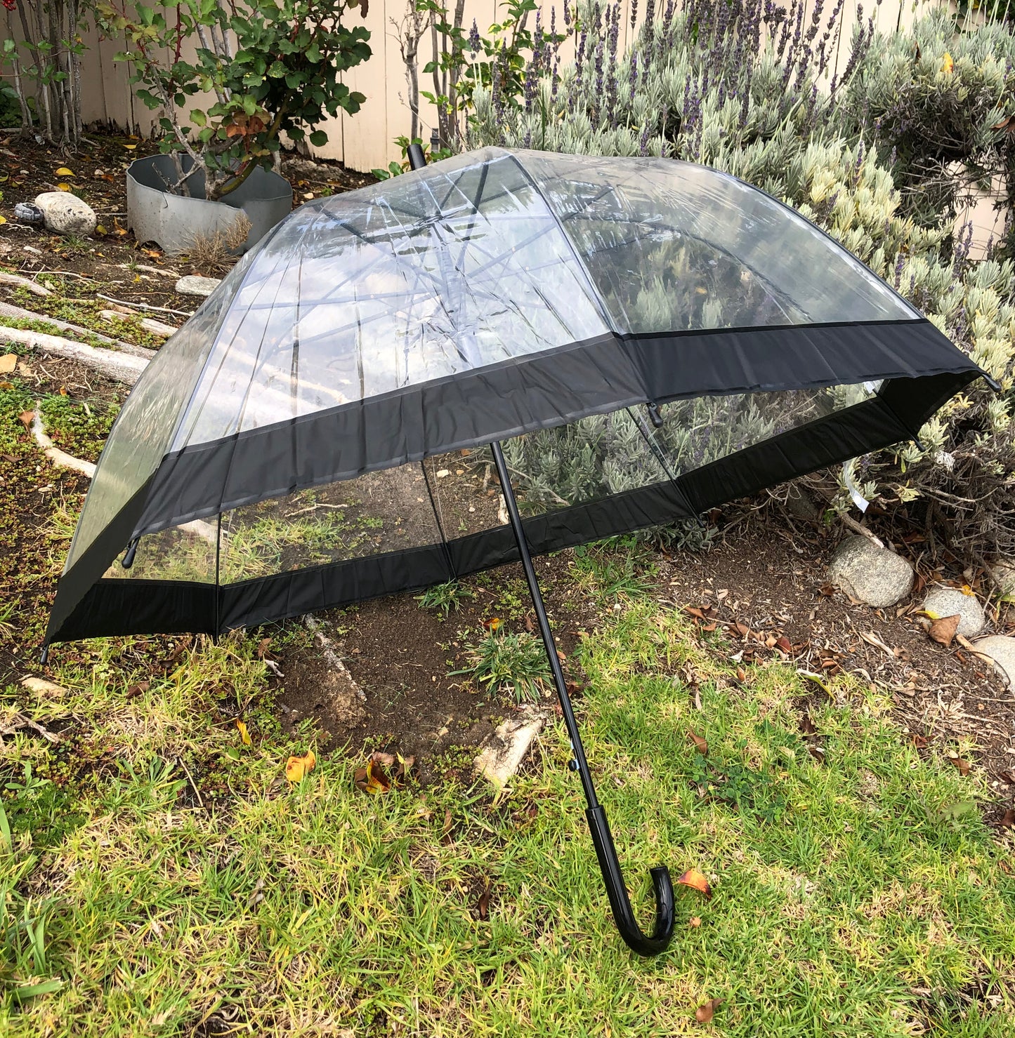 Paraguas de burbujas con ribete negro | PVC transparente