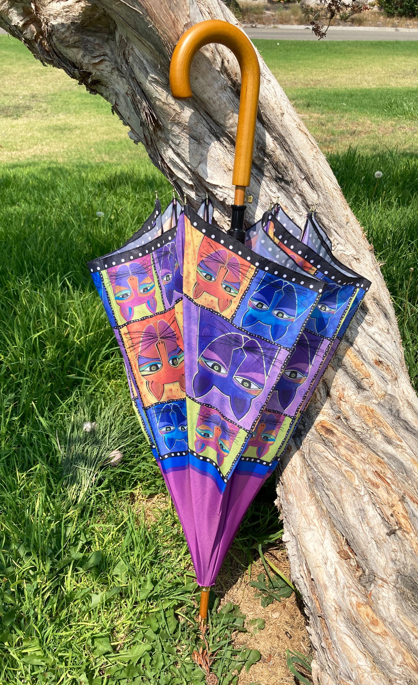Paraguas Bigotes | Colección Laurel Burch