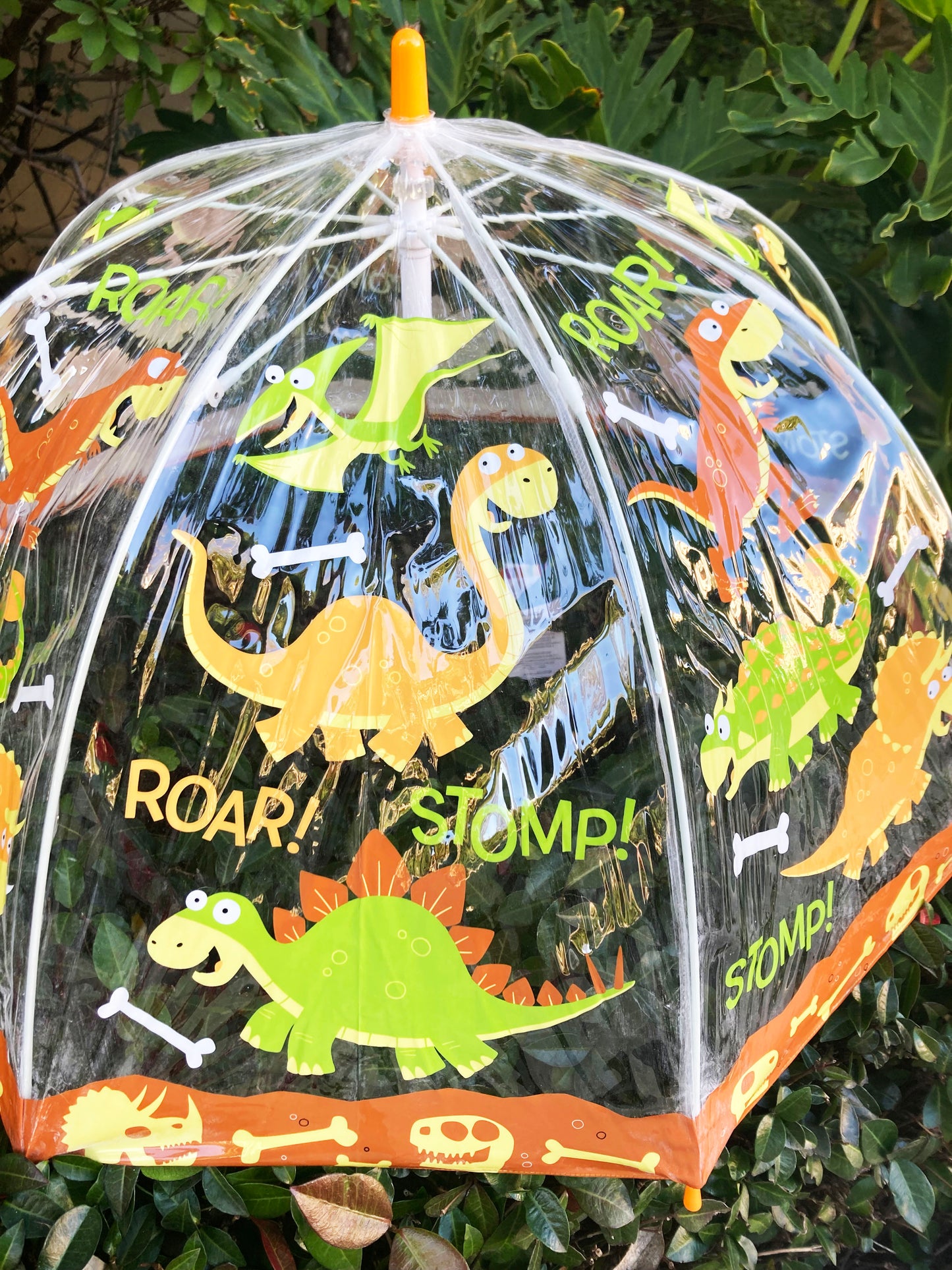 Paraguas de dinosaurios transparentes para niños | Consejos de seguridad | Tema prehistórico