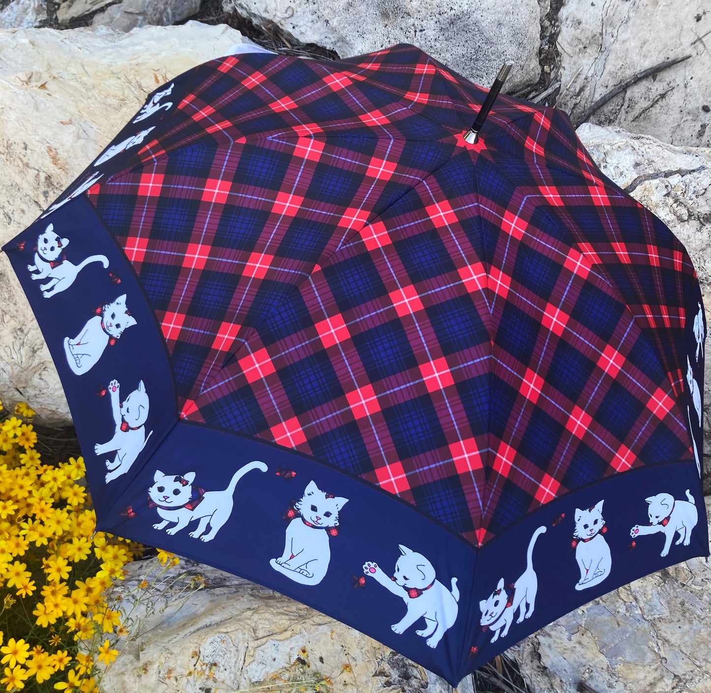 Gatos Escoceses Azules Automáticos | Colección de Lujo Guy de Jean | Envío Gratis