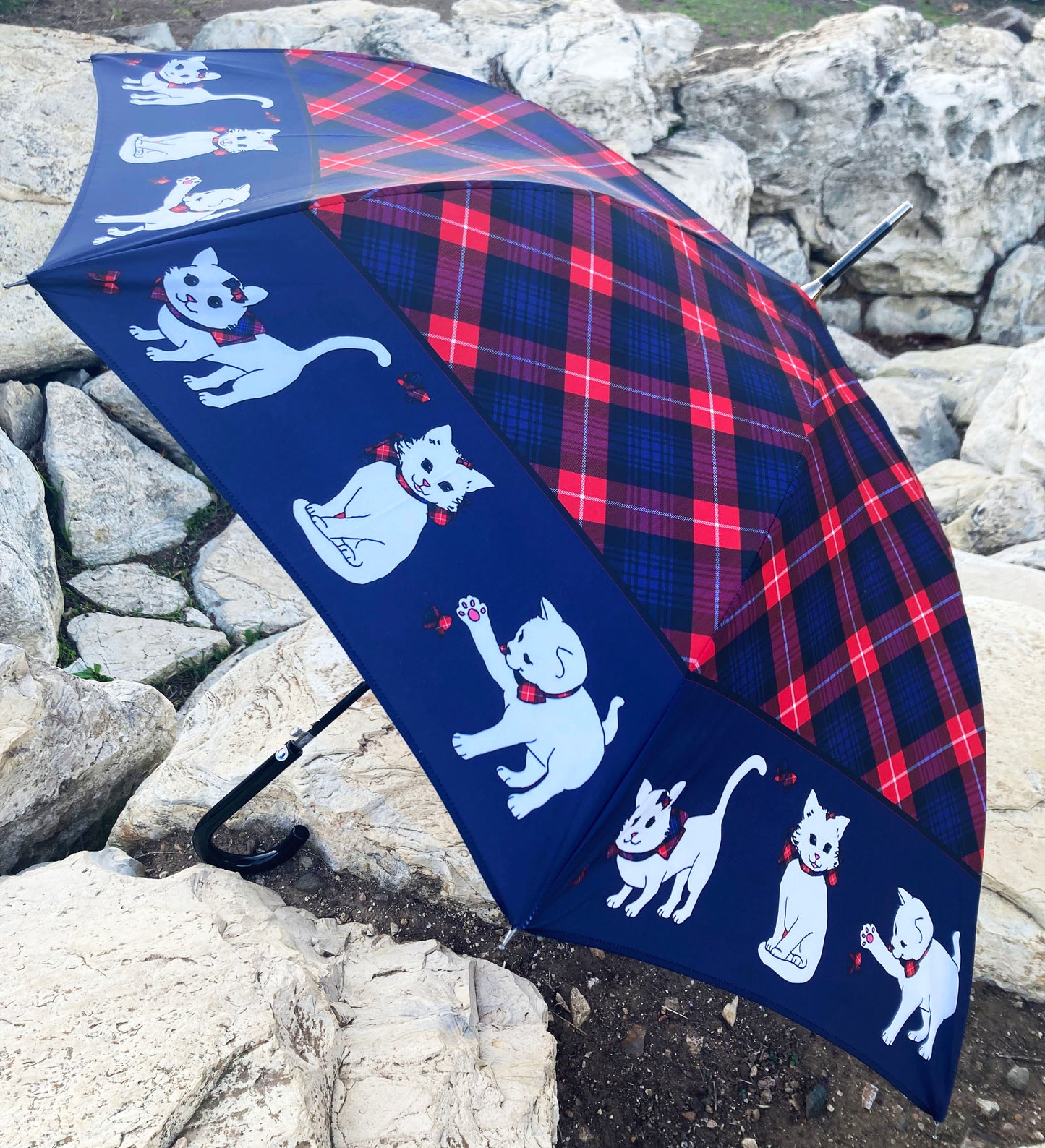 Gatos Escoceses Azules Automáticos | Colección de Lujo Guy de Jean | Envío Gratis