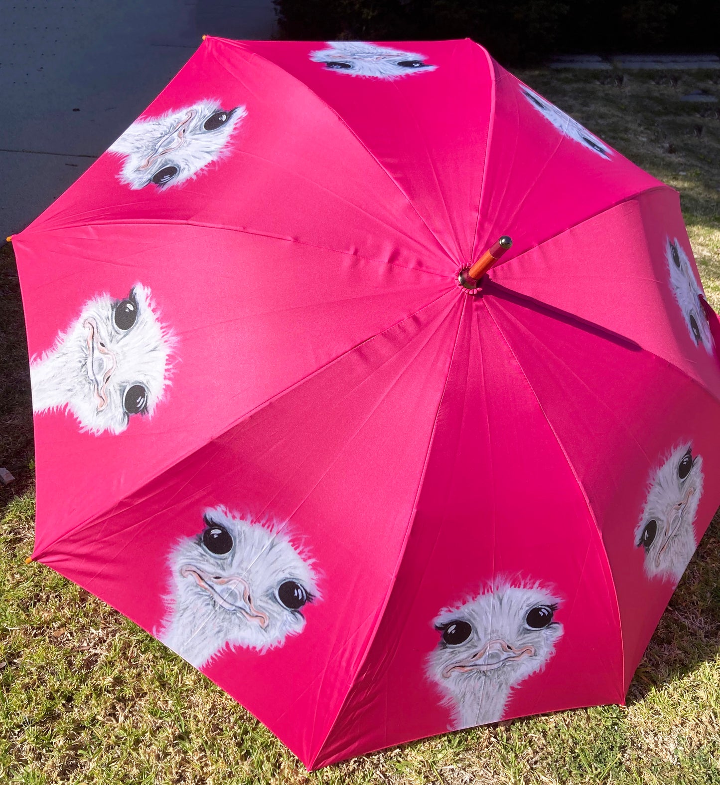 Ostrich Hot Pink Umbrella | Emily Smith Designs UK