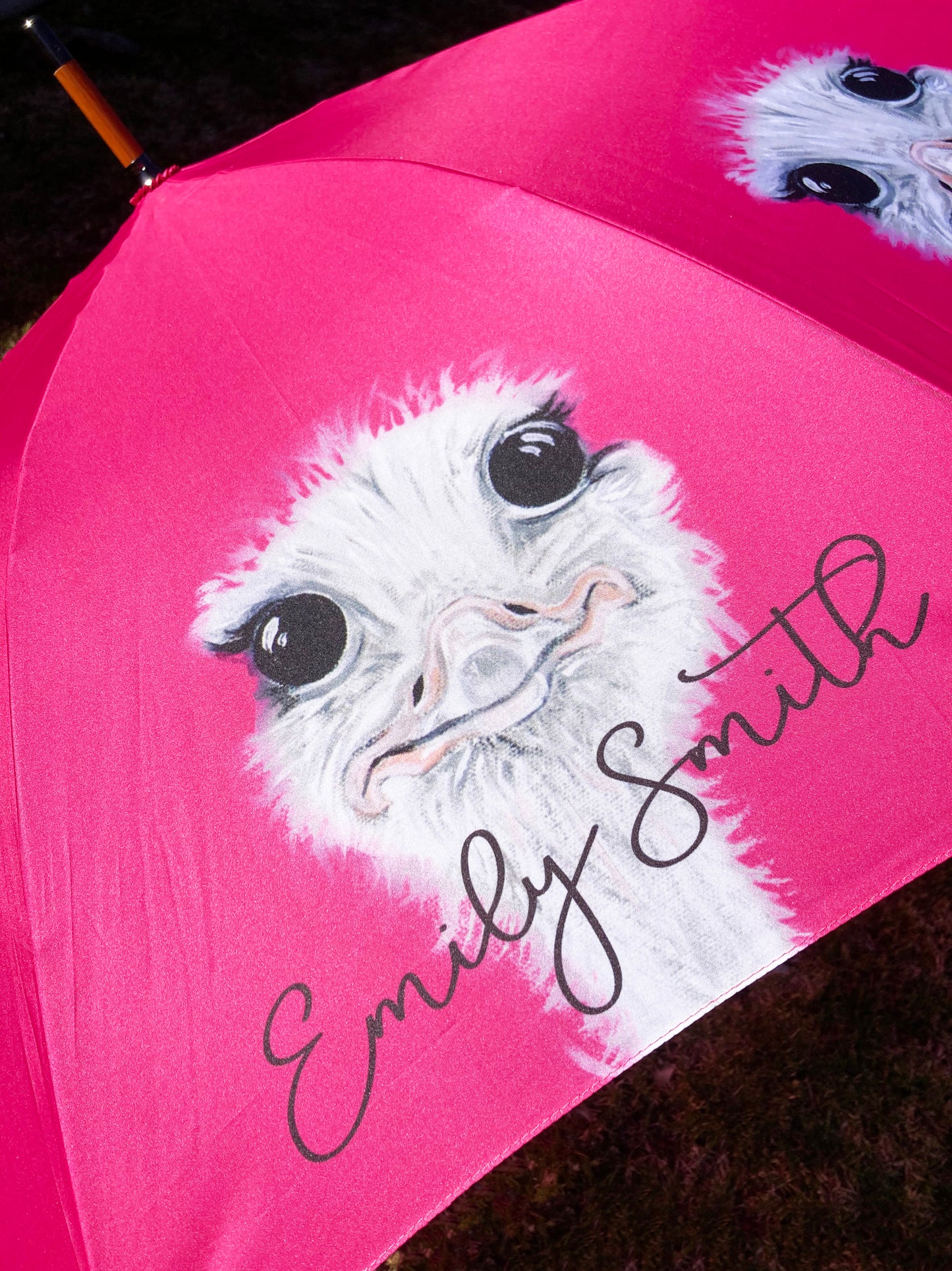 Ostrich Hot Pink Umbrella | Emily Smith Designs UK