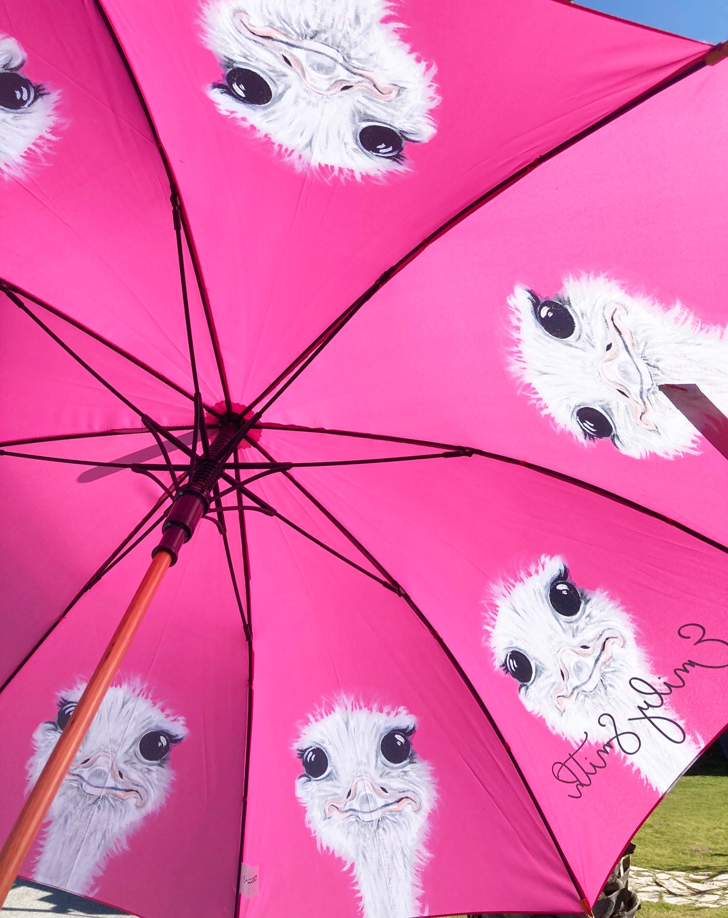 Ostrich Hot Pink Umbrella | Emily Smith Designs UK