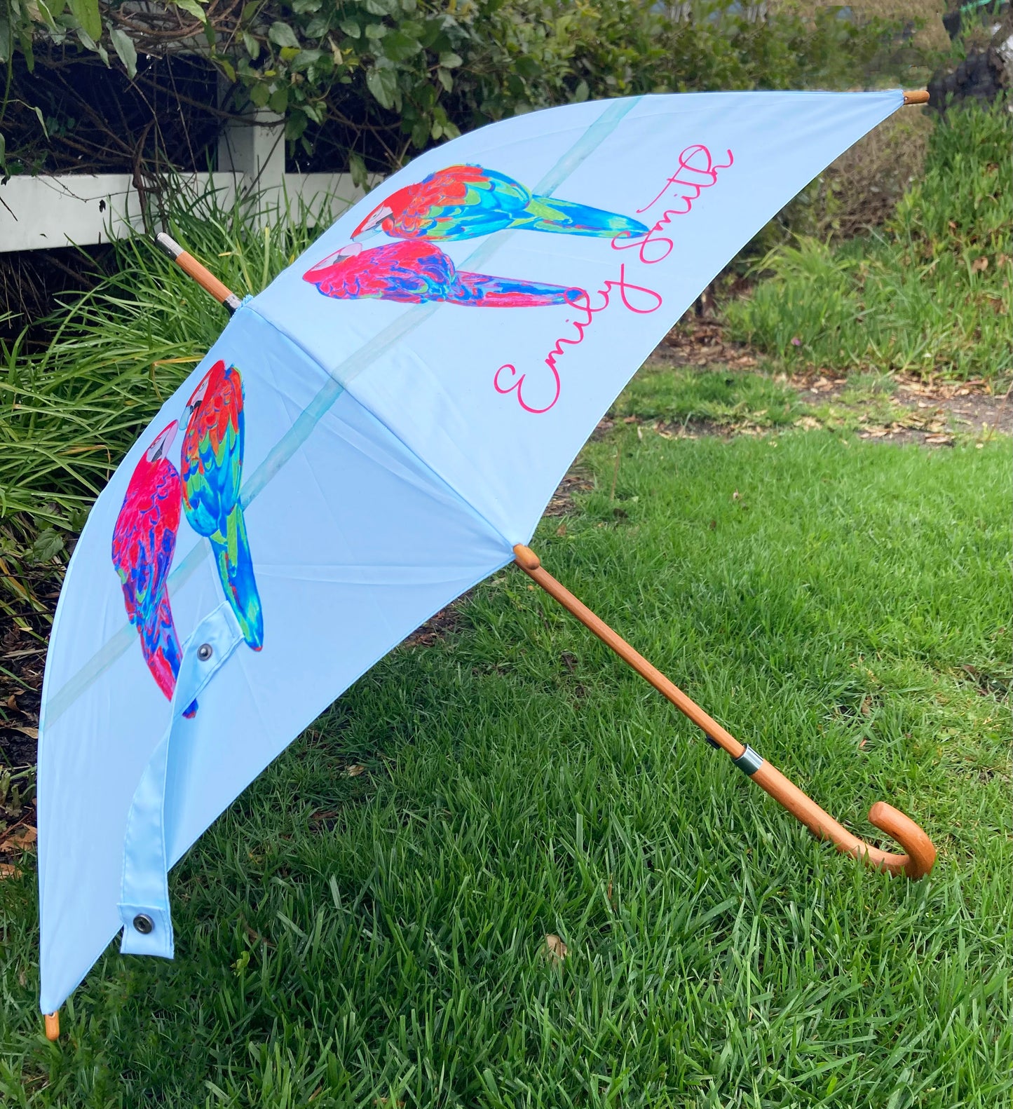 Percy and Penelope Umbrella | Macaw Designs by Emily Smith