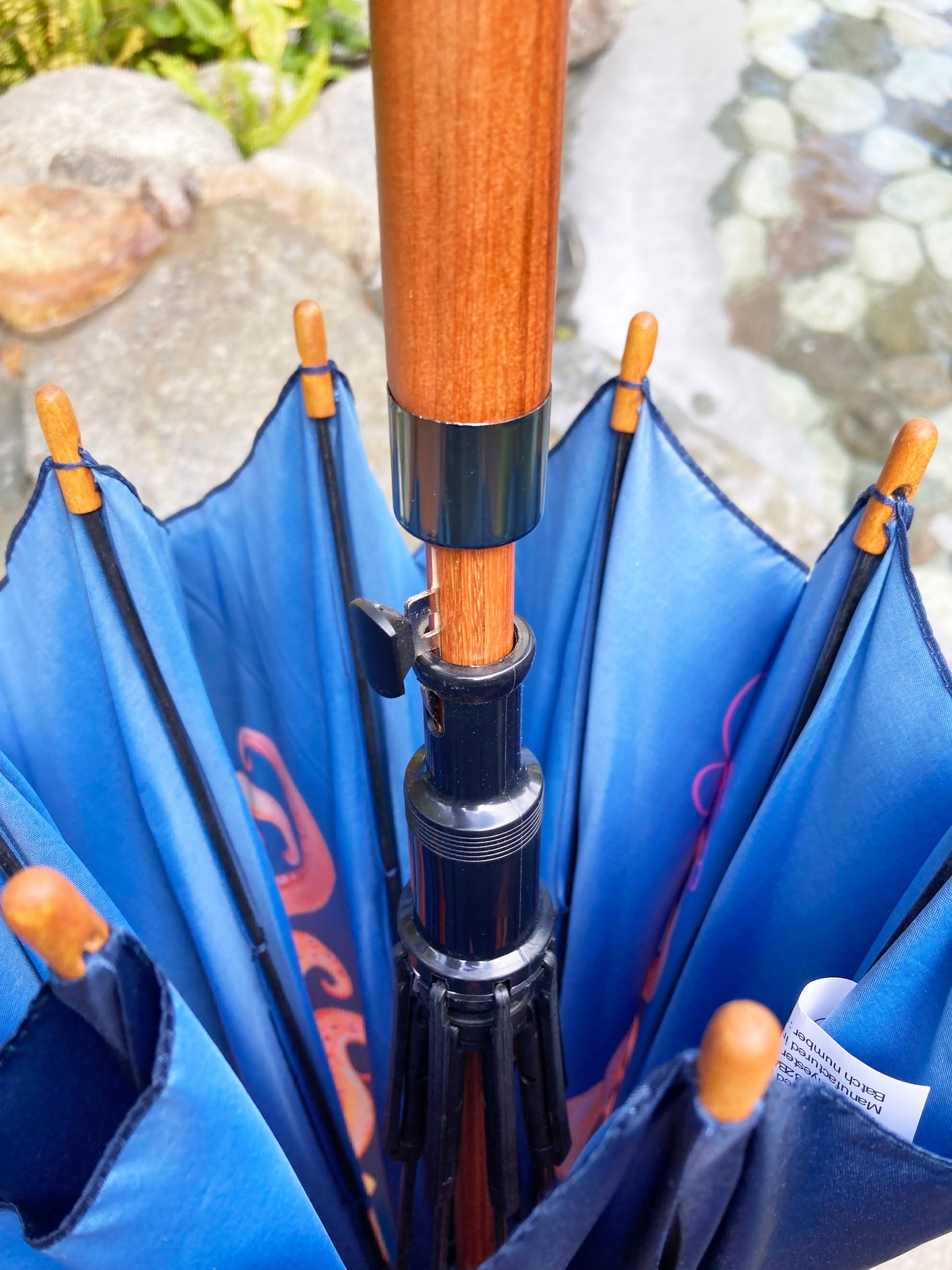Oscar The Squid by Emily Smith | Navy and Orange Sea Life Design