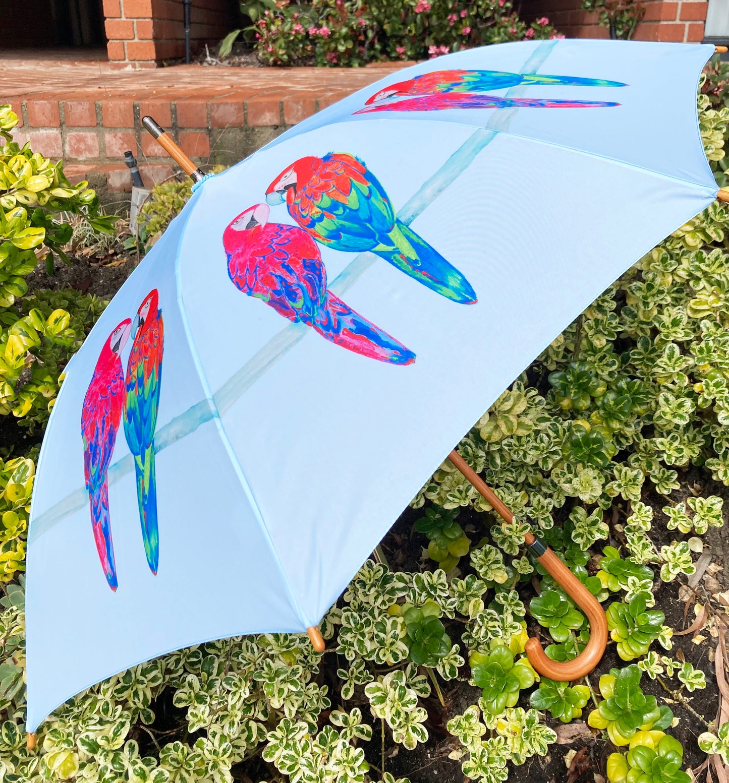 Percy and Penelope Umbrella | Macaw Designs by Emily Smith