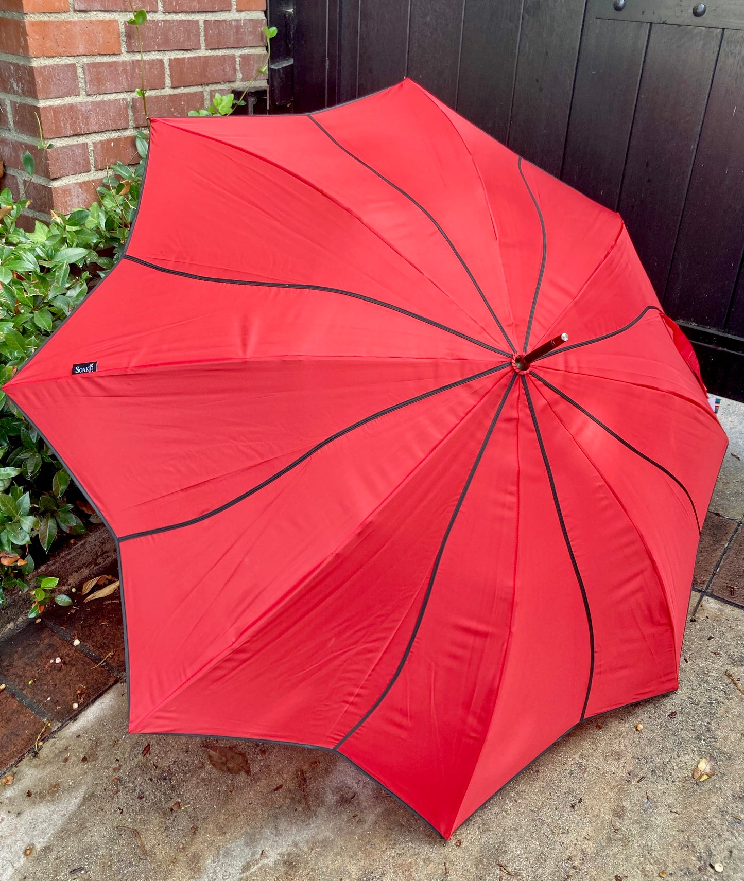 Sporty Swirl Red/Black Umbrella | Fun and Sturdy | Reinforced Ribs