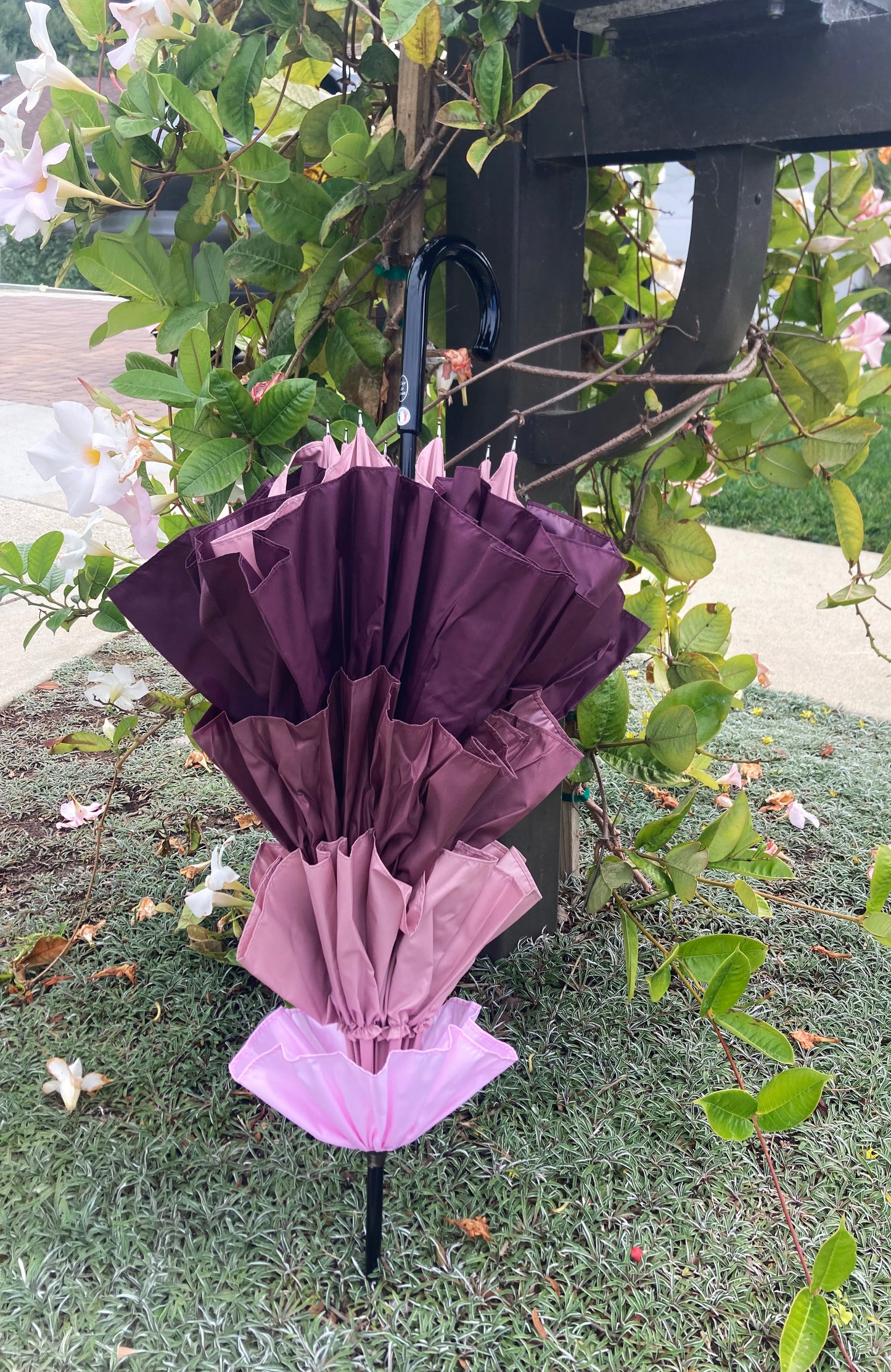 Sombrilla de cancán de Guy de Jean | Lujosa artesanía francesa | Envío gratuito
