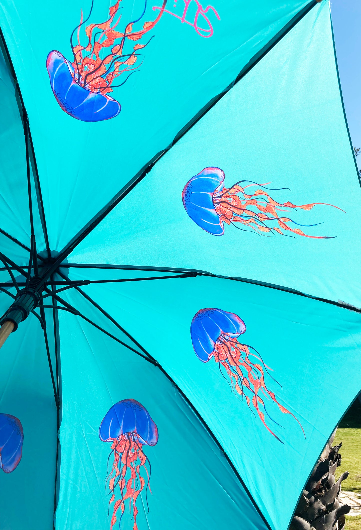 Jellyfish Jemima Umbrella | Emily Smith UK | Nature Wonders