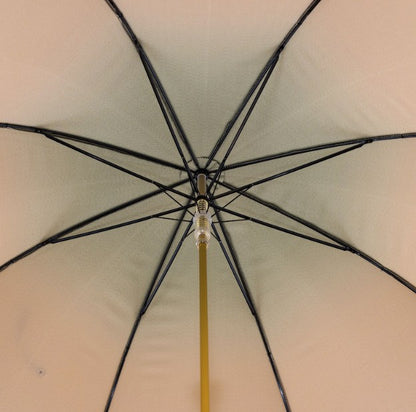 Iconic Gold Lion Umbrella | Gilt Resin Handle - Made in Italy | Free Shipping