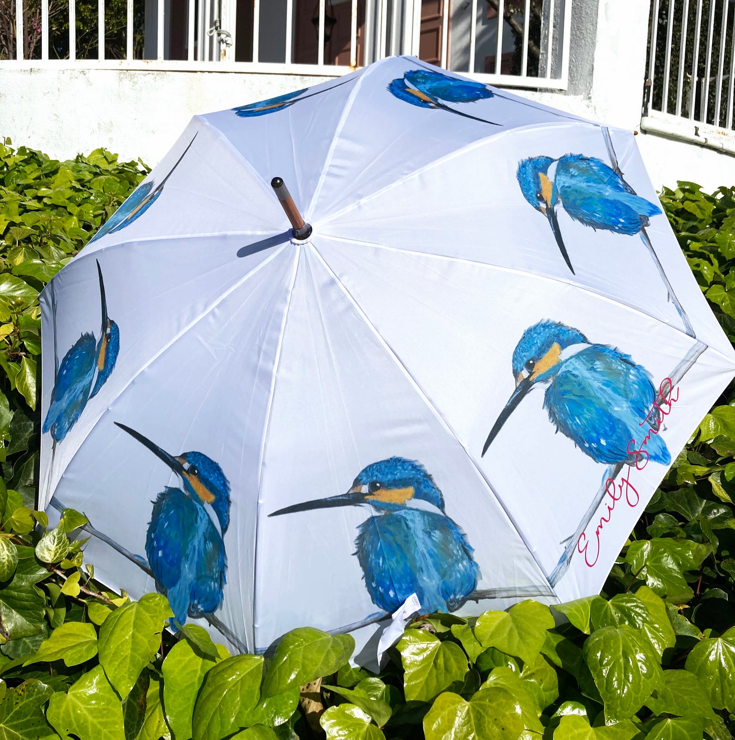 Kingfisher Bird Umbrella | Emily Smith Design