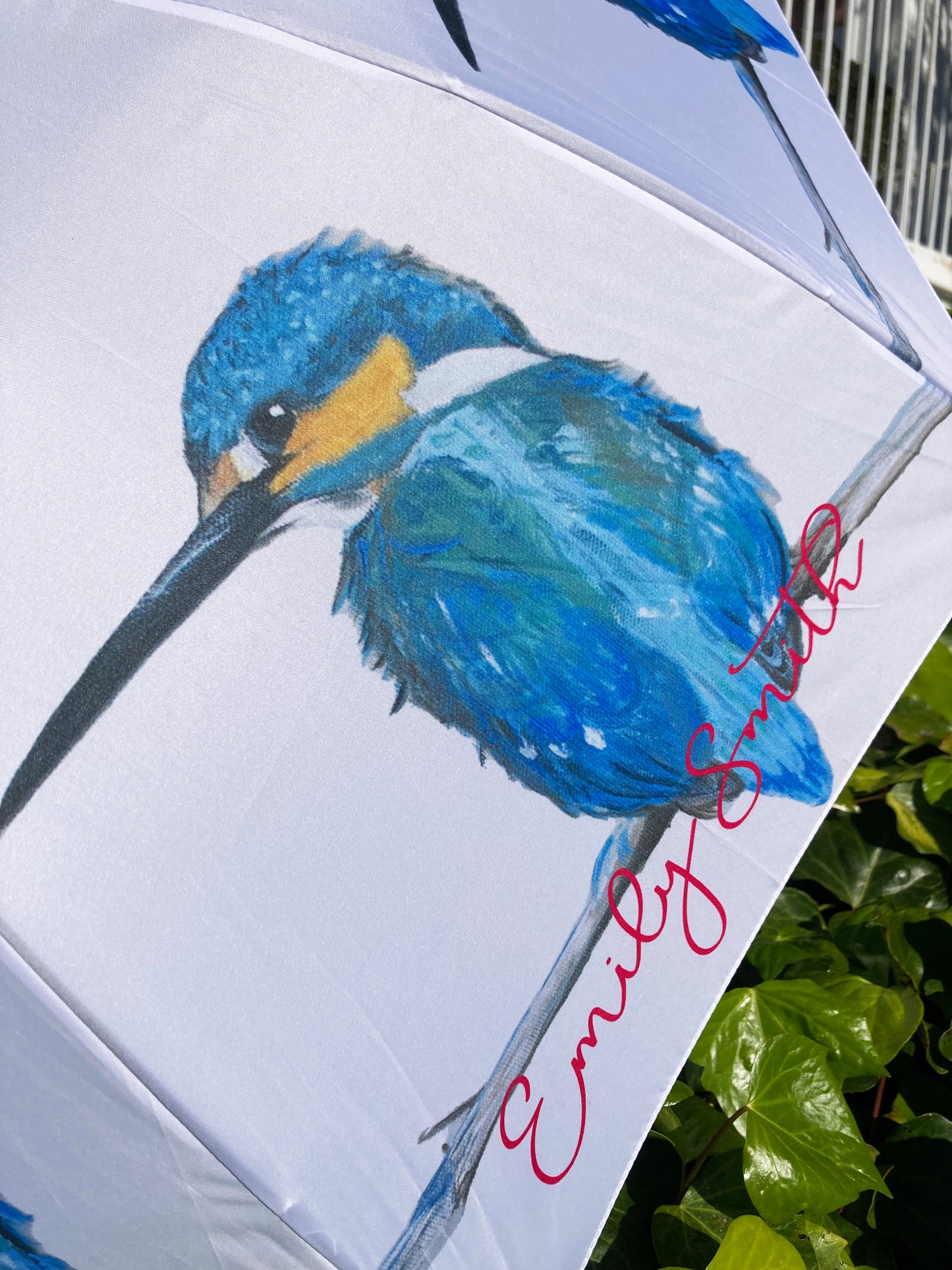 Kingfisher Bird Umbrella | Emily Smith Design