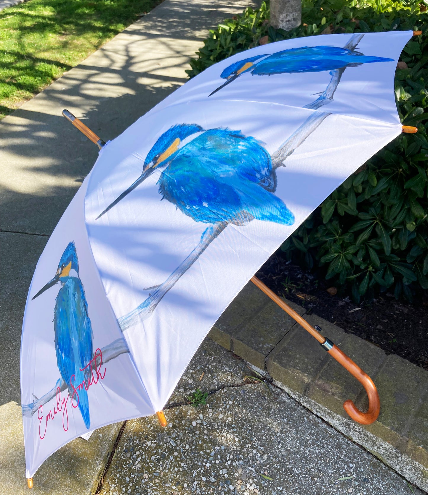 Kingfisher Bird Umbrella | Emily Smith Design