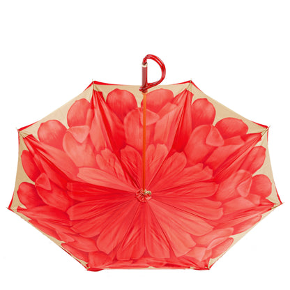 Pasotti Red Dahlia Umbrella | Double Canopy | Italian Handmade | Free Shipping