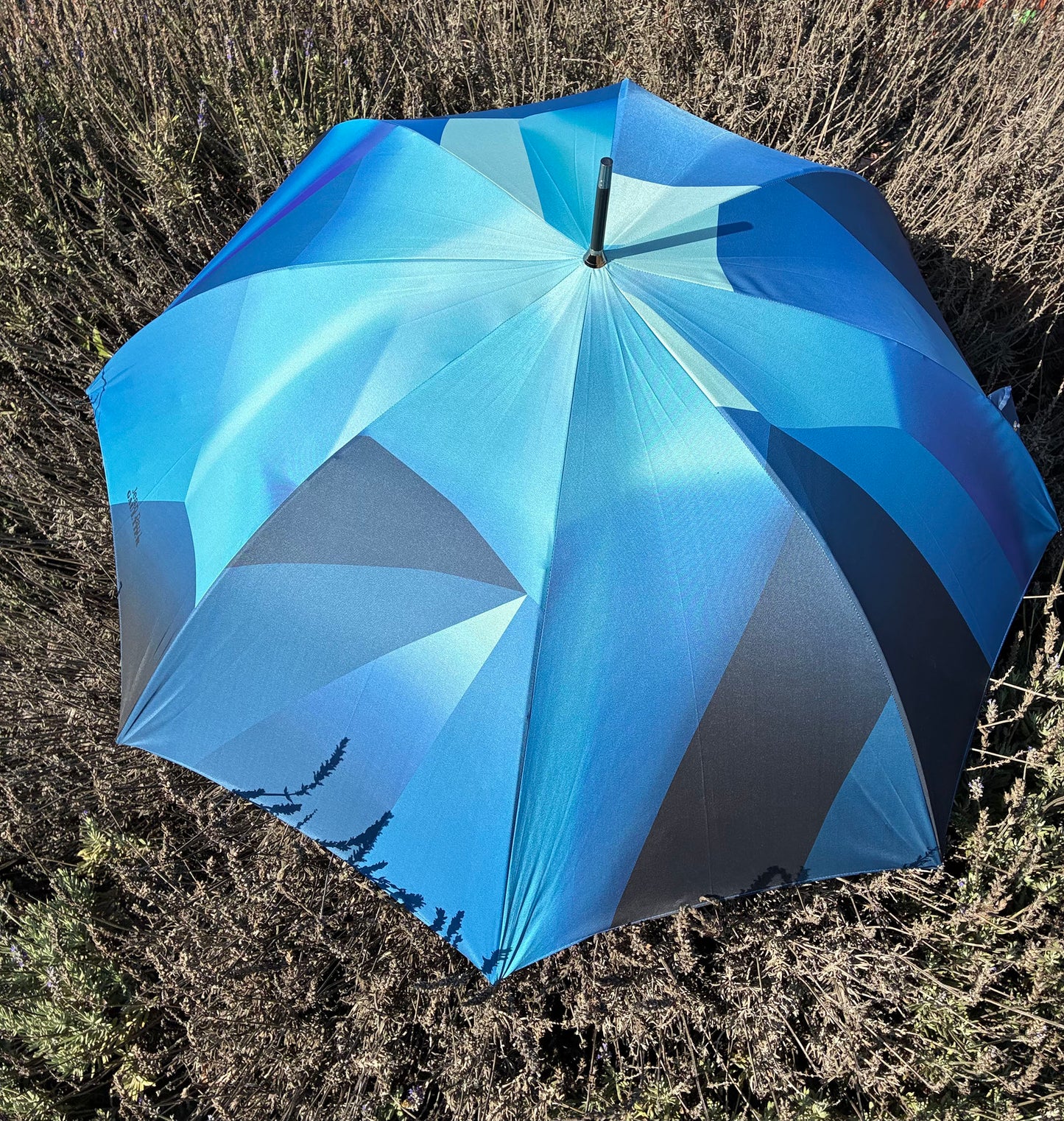 Geometry by Jean Paul Gaultier | Everyday Luxury Unisex | Free Shipping