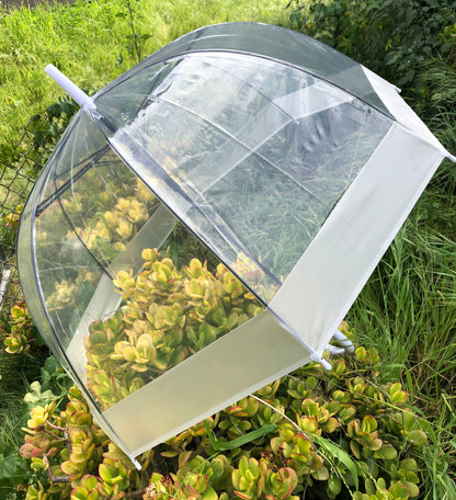 Clear Bubble Umbrella 32" | Translucent White Trim | Safe Tips