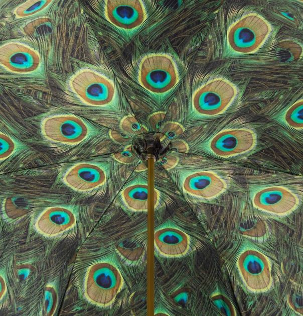 Paraguas de lujo con diseño de pavo real | Mango esmaltado | Pasotti, hecho a mano en Italia | Envío gratuito