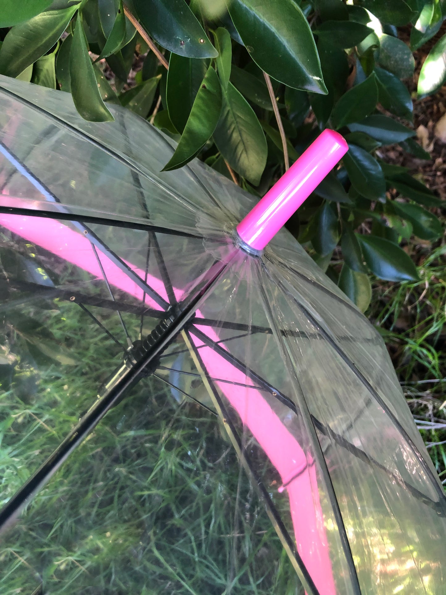 Paraguas rosa transparente de burbujas para uso diario | Consejos de seguridad | Apertura automática
