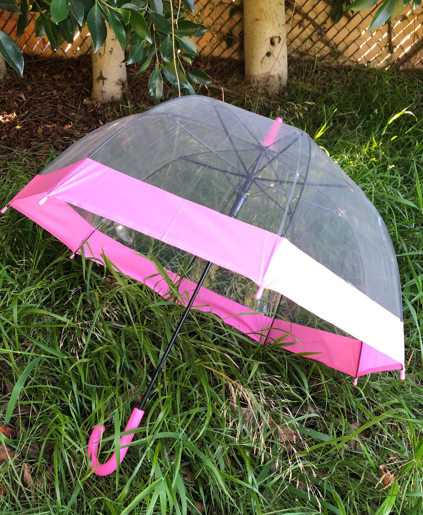Paraguas rosa transparente de burbujas para uso diario | Consejos de seguridad | Apertura automática
