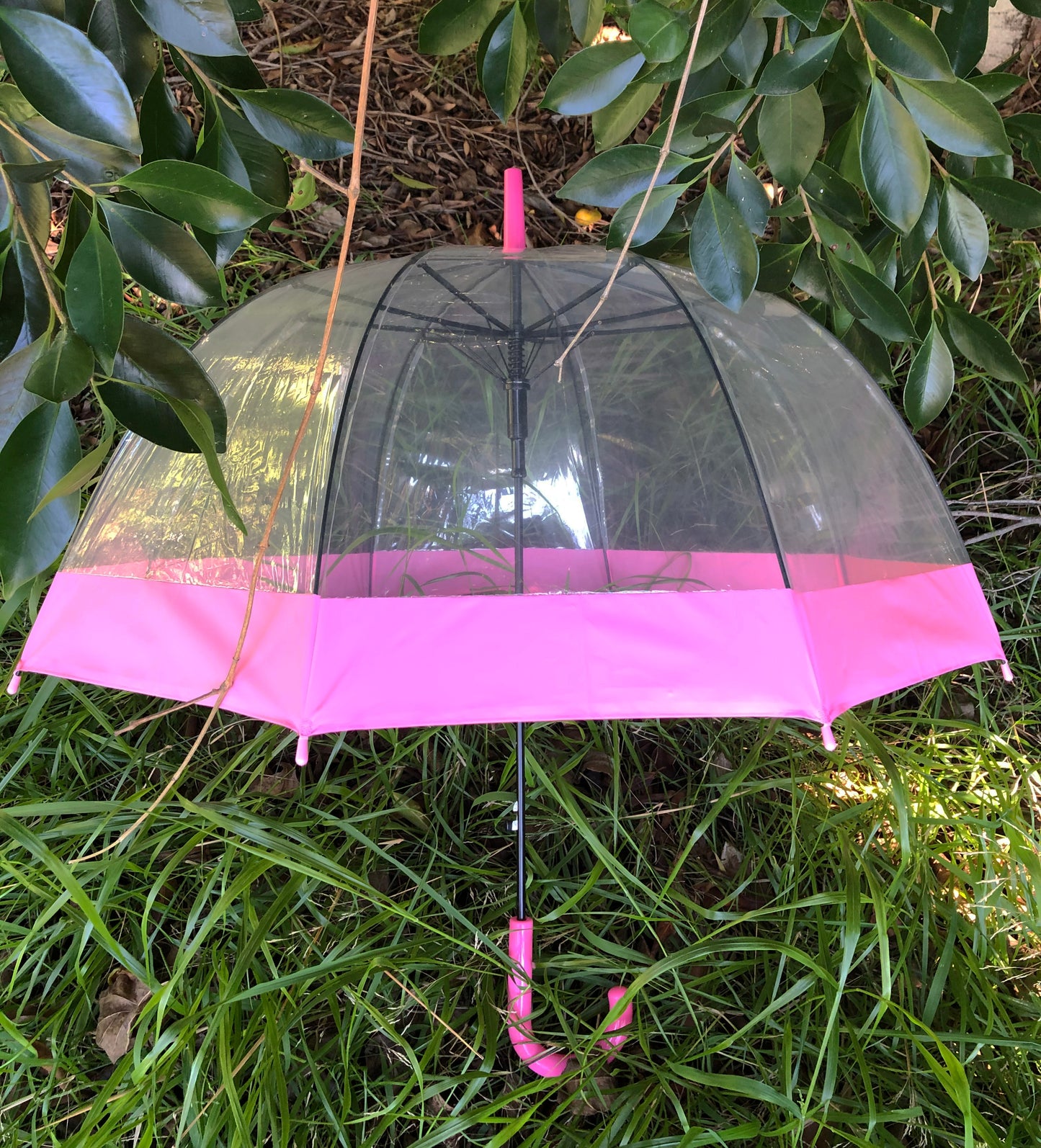 Paraguas rosa transparente de burbujas para uso diario | Consejos de seguridad | Apertura automática